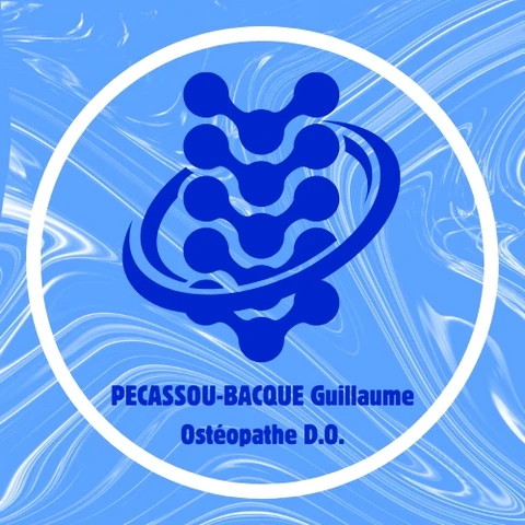 Guillaume Pécassou-Bacqué logo in navbar