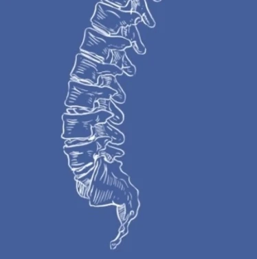 Lalao Rakotoarivelo logo in navbar