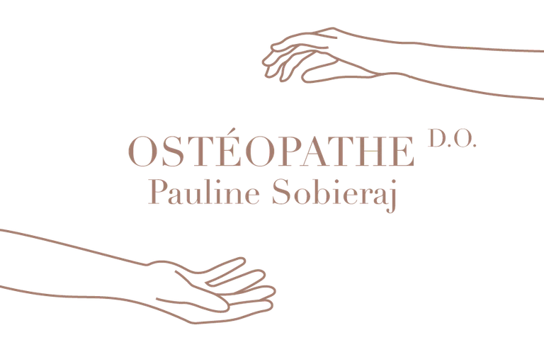 Pauline Sobieraj logo in navbar