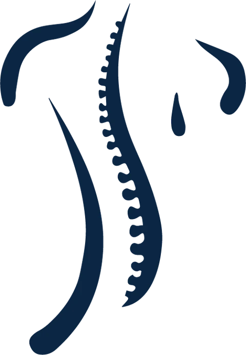 Anthony Jullien logo in navbar