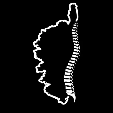 Antoine Pinna logo in navbar